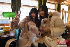 （经济观察）长春宠物文旅专列受欢迎 释放“它经济”新活力