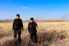 候鸟陆续抵达吉林珲春湿地 多方合作护鸟安全