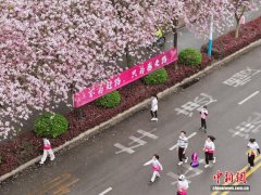 广西柳州花开成海  老挝留学生与民众一同“跑进春天”